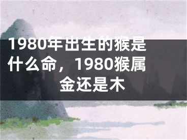 1980年出生的猴是什么命,1980猴属金还是木
