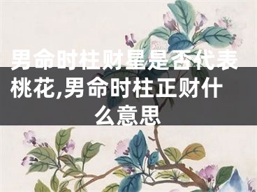 男命时柱财星是否代表桃花,男命时柱正财什么意思