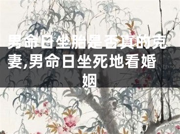 男命日坐胎是否真的克妻,男命日坐死地看婚姻
