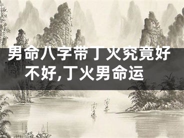 男命八字带丁火究竟好不好,丁火男命运