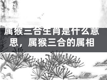 属猴三合生肖是什么意思，属猴三合的属相