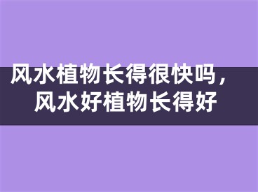 风水植物长得很快吗，风水好植物长得好