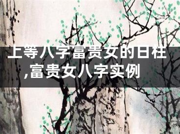 上等八字富贵女的日柱,富贵女八字实例 