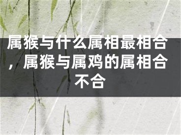 属猴与什么属相最相合，属猴与属鸡的属相合不合