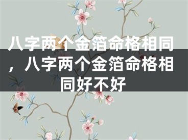 八字两个金箔命格相同,八字两个金箔命格相同好不好