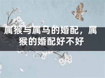 属猴与属马的婚配，属猴的婚配好不好