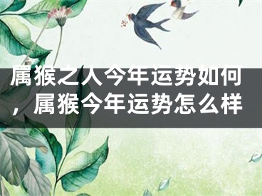 属猴之人今年运势如何，属猴今年运势怎么样
