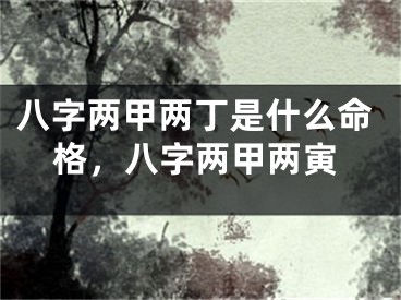 八字两甲两丁是什么命格，八字两甲两寅