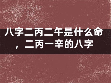 八字二丙二午是什么命，二丙一辛的八字