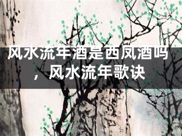 风水流年酒是西凤酒吗,风水流年歌诀