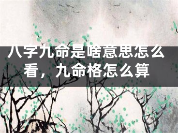 八字九命是啥意思怎么看，九命格怎么算