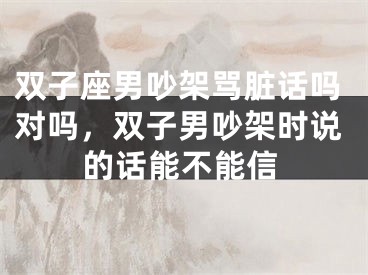 双子座男吵架骂脏话吗对吗，双子男吵架时说的话能不能信