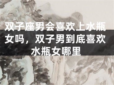 双子座男会喜欢上水瓶女吗，双子男到底喜欢水瓶女哪里