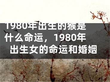 1980年出生的猴是什么命运,1980年出生女的命运和婚姻