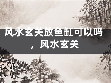 风水玄关放鱼缸可以吗，风水玄关