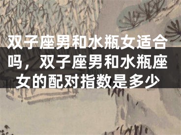 双子座男和水瓶女适合吗，双子座男和水瓶座女的配对指数是多少