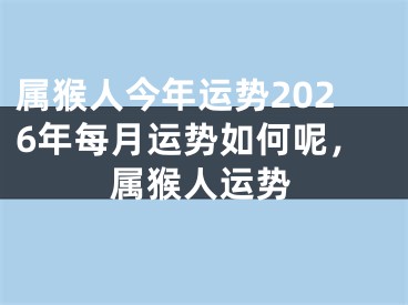 属猴人今年运势2026年每月运势如何呢,属猴人运势