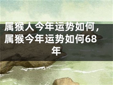 属猴人今年运势如何，属猴今年运势如何68年