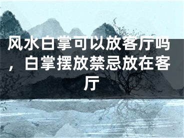 风水白掌可以放客厅吗，白掌摆放禁忌放在客厅