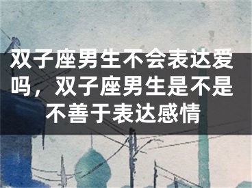 双子座男生不会表达爱吗，双子座男生是不是不善于表达感情