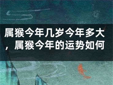 属猴今年几岁今年多大，属猴今年的运势如何