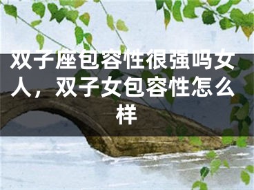 双子座包容性很强吗女人，双子女包容性怎么样
