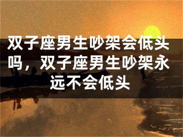 双子座男生吵架会低头吗,双子座男生吵架永远不会低头