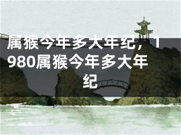 属猴今年多大年纪，1980属猴今年多大年纪