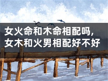 女火命和木命相配吗,女木和火男相配好不好