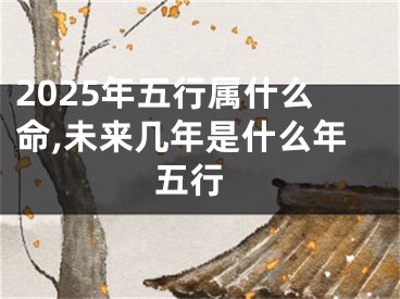 2025年五行属什么命,未来几年是什么年 五行