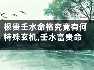 极贵壬水命格究竟有何特殊玄机,壬水富贵命