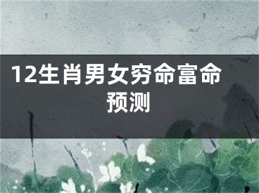 12生肖男女穷命富命预测