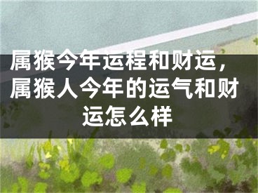 属猴今年运程和财运，属猴人今年的运气和财运怎么样