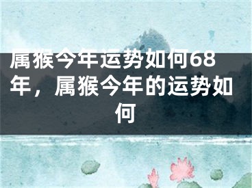 属猴今年运势如何68年，属猴今年的运势如何