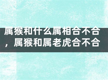 属猴和什么属相合不合，属猴和属老虎合不合