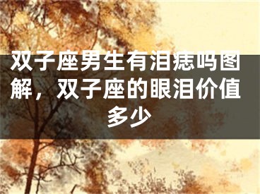 双子座男生有泪痣吗图解，双子座的眼泪价值多少