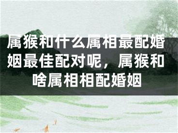 属猴和什么属相最配婚姻最佳配对呢，属猴和啥属相相配婚姻