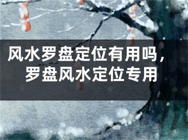 风水罗盘定位有用吗,罗盘风水定位专用
