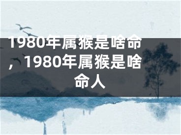 1980年属猴是啥命,1980年属猴是啥命人