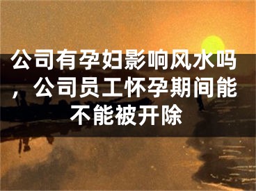 公司有孕妇影响风水吗，公司员工怀孕期间能不能被开除