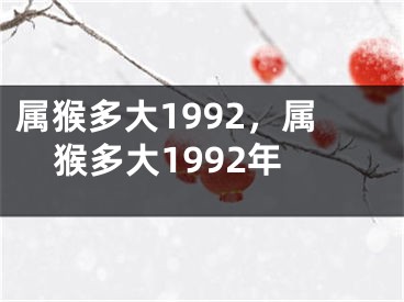 属猴多大1992,属猴多大1992年