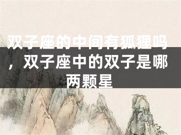双子座的中间有狐狸吗，双子座中的双子是哪两颗星