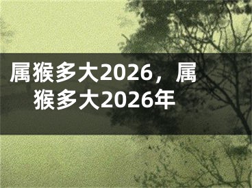 属猴多大2026，属猴多大2026年