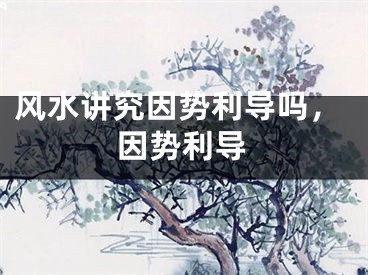 风水讲究因势利导吗，因势利导