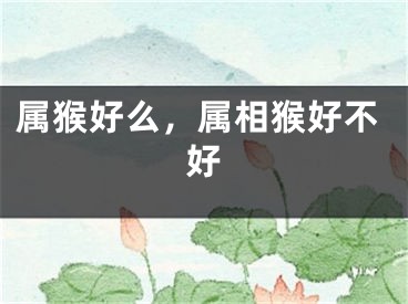 属猴好么，属相猴好不好