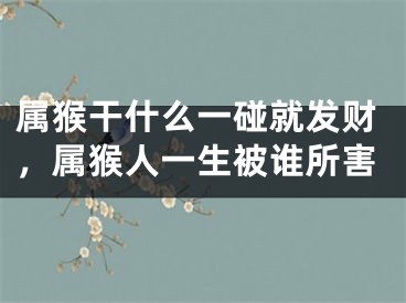 属猴干什么一碰就发财，属猴人一生被谁所害
