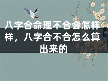 八字合命理不合会怎样样，八字合不合怎么算出来的