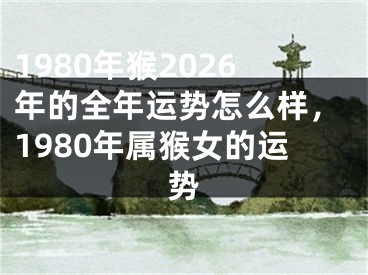 1980年猴2026年的全年运势怎么样,1980年属猴女的运势