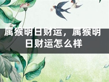 属猴明日财运，属猴明日财运怎么样