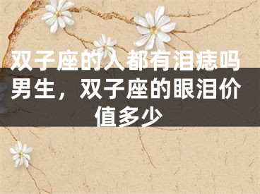 双子座的人都有泪痣吗男生，双子座的眼泪价值多少